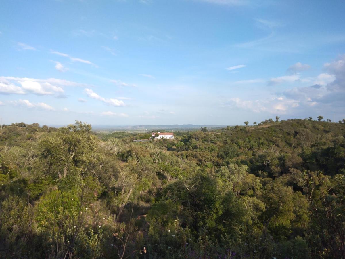 The One - Alojamento de Turismo Rural